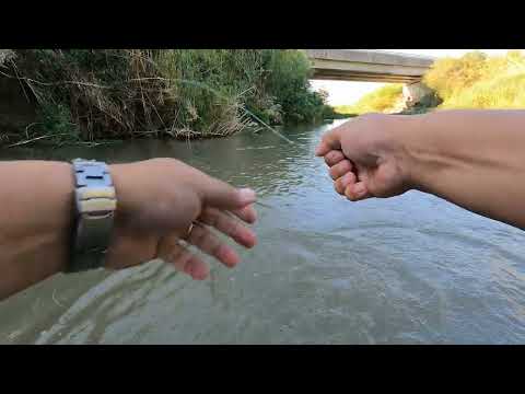 Видео: Нахлыст на реке Иордан. Fly Fishing on the Jordan River