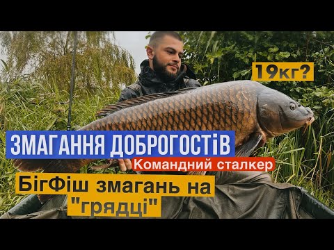 Видео: ЗМАГАННЯ ДОБРОГОСТІВ | РИБОЛОВЛЯ В ГОРАХ