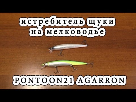 Видео: PONTOON21 AGARRON /// Истребитель щуки по мелководью.