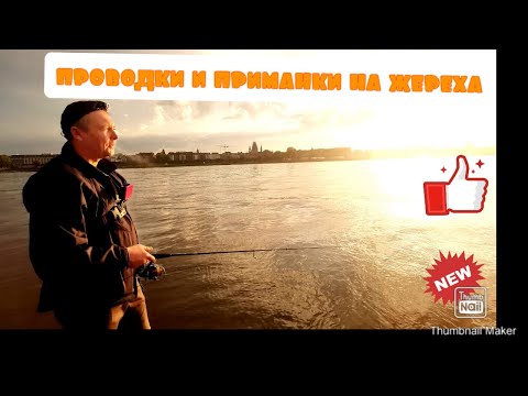 Видео: Проводки и приманки на жереха. Как ловить жереха с берега.