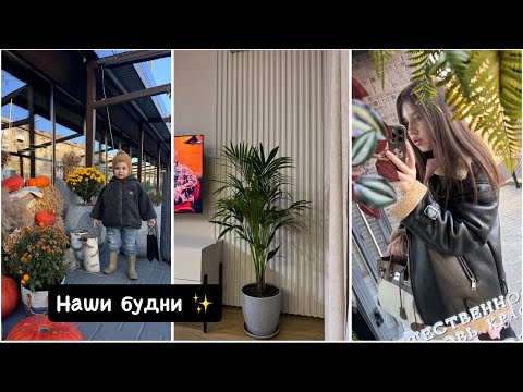 Видео: Влог✨ Развитие ребенка / Погибает пальма 🙏🏻  Косметика для работы