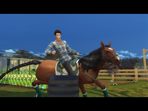 Видео: Симес 4