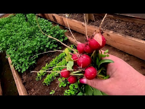 Видео: Это показывать нельзя... Разоблачил меня...