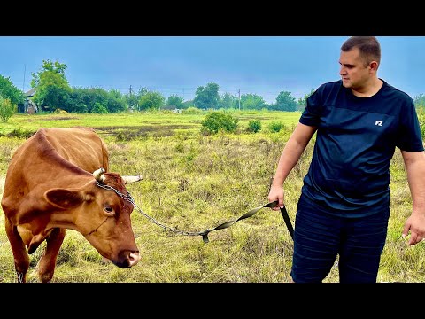 Видео: ГОВЯДИНА на УГЛЯХ ОШЕЕК НИЖНЯЯ часть.НЕОБЫЧНЫЙ МАРИНАД который нужно ОБЯЗАТЕЛЬНО ПОПРОБОВАТЬ!ENG SUB