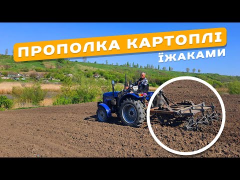 Видео: Прополка картоплі їжаками. Міжрядним культиватором ЇЖАКИ. Прополка мінітрактором