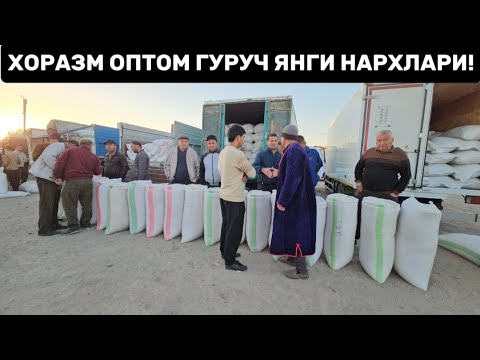 Видео: ХОРАЗМ ХАЗАРАСП ОПТОМ ГУРУЧ ЯНГИ НАРХЛАРИ АРЗОНЛАДИ! 8 ОКТЯБРЯ 2024Г