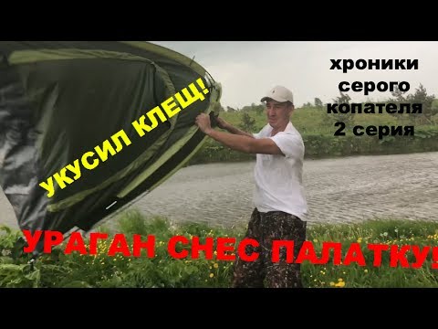Видео: Укусил клещ! Ураган снес палатку. Реалити-шоу -Выжить с металлоискателем! 2 серия