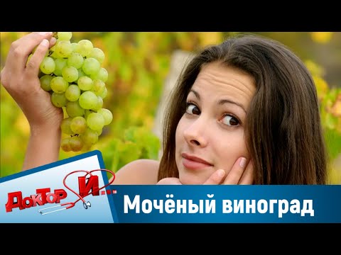Видео: Мочёный виноград - блюдо на все случаи жизни. “Доктор И“