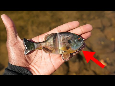 Видео: Эта японская мягкая скользящая приманка Bluegill Glide меняет правила игры!