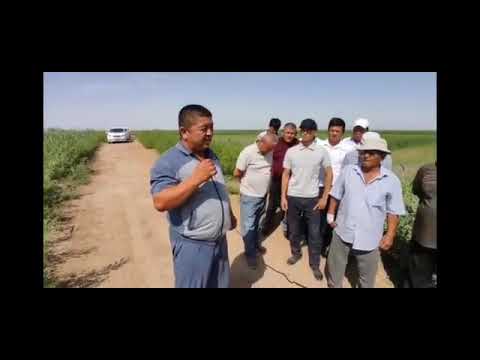 Видео: Қоңырат районы Раушан АПЖ