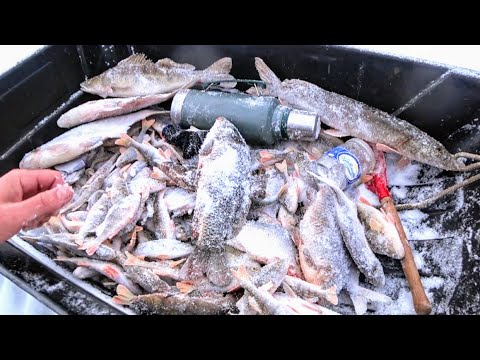 Видео: Ванна рыба на хапуги или тонны рыбы под ногами!!!! Рыбалка на хапуги 2025. Рыбалка 2025. Рыбалка.