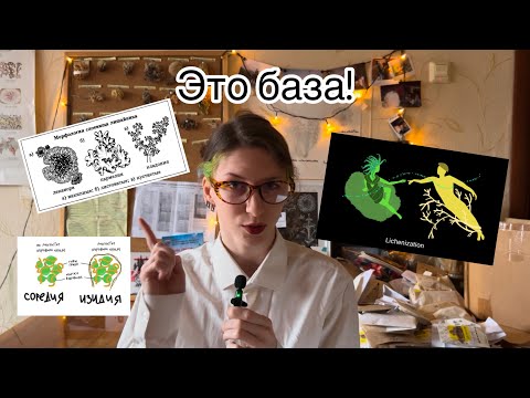 Видео: Лихенология на минималках