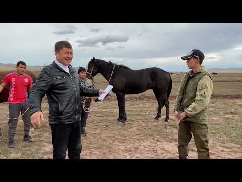 Видео: Скачки Верх Аскиз 23.09.2023