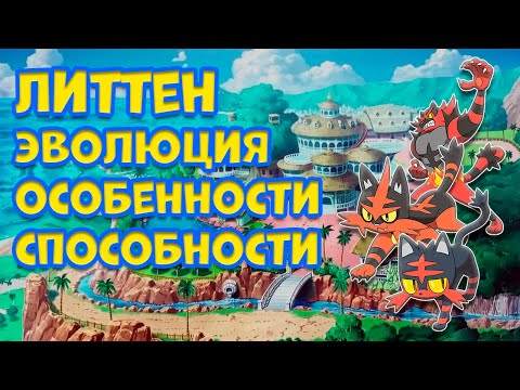 Видео: ЛИТТЕН - ЭВОЛЮЦИЯ, ОСОБЕННОСТИ, СПОСОБНОСТИ