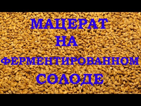 Видео: Мацерат на ферментированном солоде