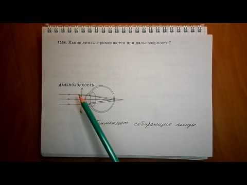 Видео: Пёрышкин. Задача 1384