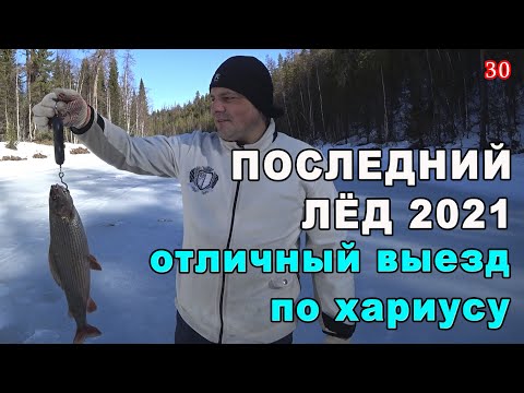 Видео: Последний лёд. Апрель 2021. Удачный выезд по хариусу.