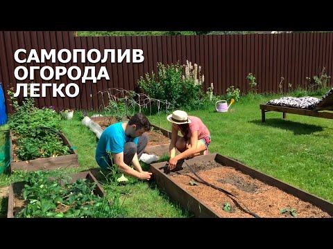 Видео: КАПЕЛЬНЫЙ ПОЛИВ | Сделайте это для большого урожая