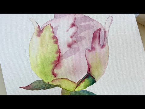 Видео: Пион акварелью