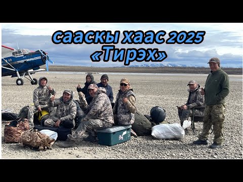 Видео: Сааскы Хаас 2025 «Тирэх»