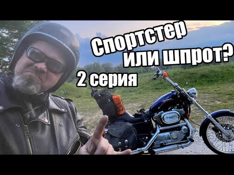 Видео: Спортстер или шпрот? 2 серия