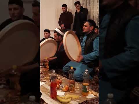 Видео: Майртуп жирг1а зуькар