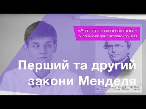 Видео: Перший та другий закони Менделя – Підготовка до ЗНО – Біологія