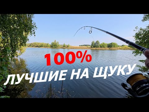 Видео: Почему ВСЕ РЫБАКИ осенью ВЫБИРАЮТ железо? Лучшие приманки на щуку!