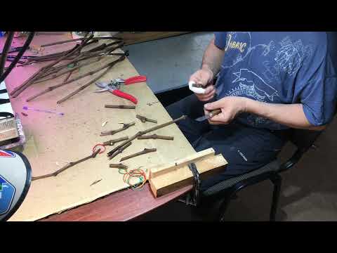 Видео: Зимняя настольная прививка винограда.