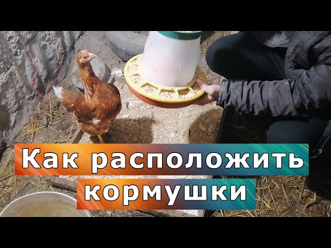 Видео: Подвесить кормушку для кур или оставить на полу?Где потери корма меньше?