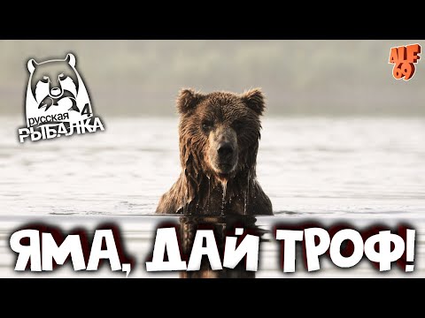 Видео: ЛОВИМ ТРОФЫ НА РЕКЕ ЯМА! СТРИМ РУССКАЯ РЫБАЛКА 4 (RUSSIAN FISHING 4)