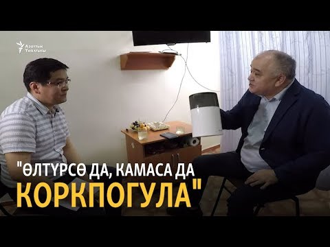 Видео: Текебаев: Өлтүрсө да, камаса да коркпогула