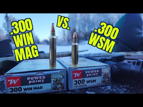Видео: .300 Winchester Mag против .300 Winchester Short Magnum с патронами Winchester Power-point 180 гран