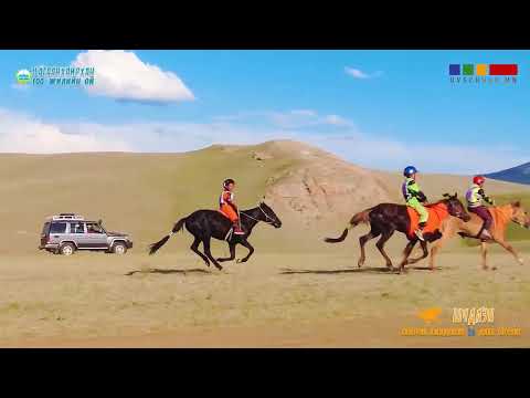 Видео: Хурдан шүдлэнгийн уралдаан / Цагаанхайрхан сум 100 жил / Шүдлэн уралдаан