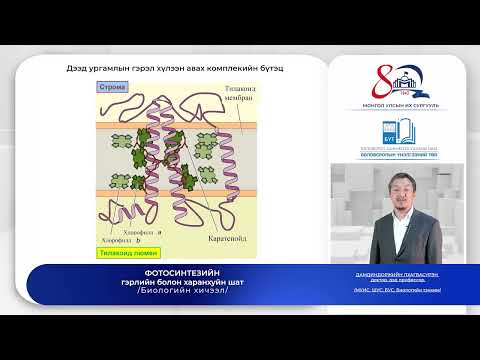 Видео: Биологи №1