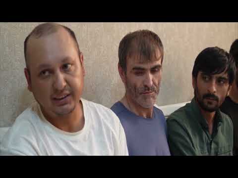 Видео: Милитсия хомии чомеа 25 09 2025