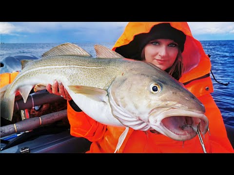 Видео: СОЛНЕЧНОЙ НОЧЬЮ ВЫШЛИ В БАРЕНЦЕВО МОРЕ / ON A SUNNY NIGHT WE WENT OUT TO THE BARENTS SEA
