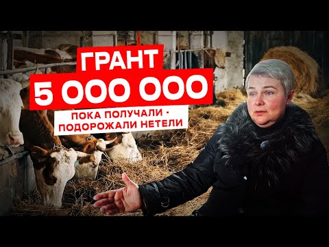 Видео: Как правильно планировать грант? | Грант на развитие сельского хозяйства