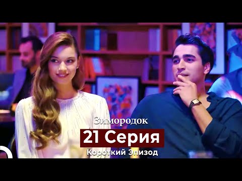 Видео: Зимородок 21 Cерия (Короткий Эпизод) (Русский дубляж)