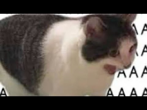 Видео: АСМР РОЗОВЫЕ ТРИГГЕРЫ, ТАПИНГ И СКРЕТЧИНГ 💝💕