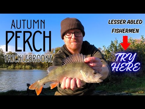 Видео: Окунь на поплавке @sifishes