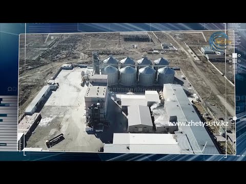 Видео: СДЕЛАНО  В  КАЗАХСТАНЕ - Жаркентский крахмалопаточный завод / 27.03.21