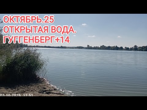 Видео: Открытая вода ОКТЯБРЯ 25