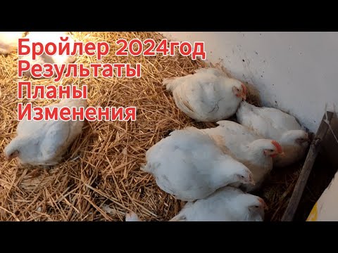 Видео: Итоги по бройлеру за сезон.Огород.