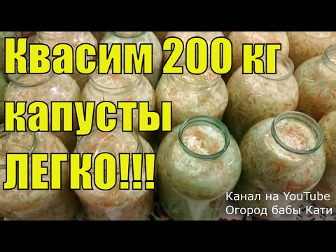 Видео: Квашеная капуста! Рецепт квашеной капусты на зиму с мочеными яблоками! В какие дни квасить капусту!