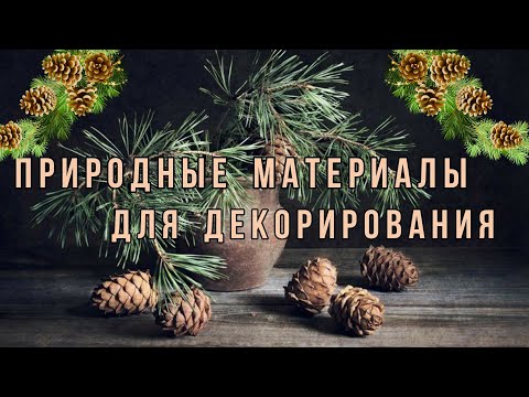 Видео: Обзор природных материалов для декорирования / заготовки / поделки / переделки  / hand made