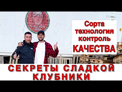 Видео: СЕКРЕТЫ СЛАДКОЙ КЛУБНИКИ