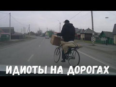 Видео: Хозяева жизни! Мне плевать на всех! Подборка на видеорегистратор! #19