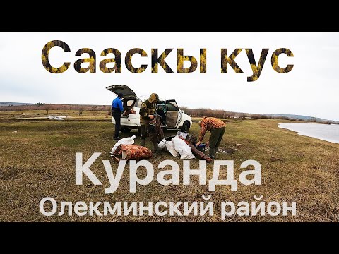 Видео: Весенняя охота на селезней уток Сааскы кус