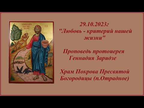 Видео: 29.10.2023г  "Любовь - критерий нашей жизни" Проповедь протоиерея Геннадия Заридзе